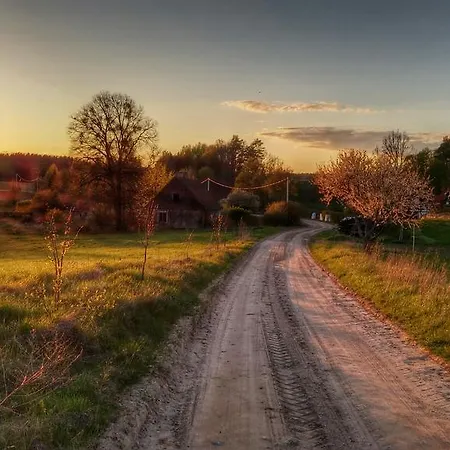 Mazury Cicha Wolka *